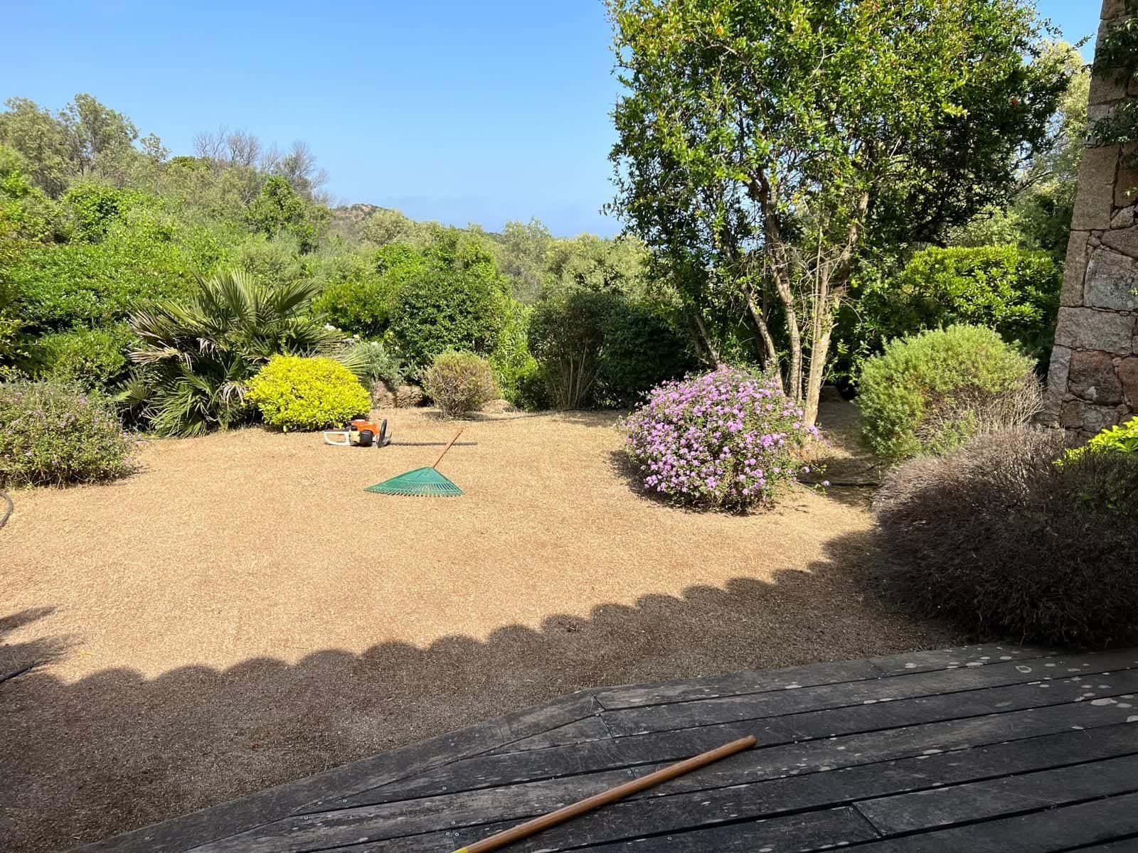 Jardin débroussaillé avec arbustes et massifs conservés