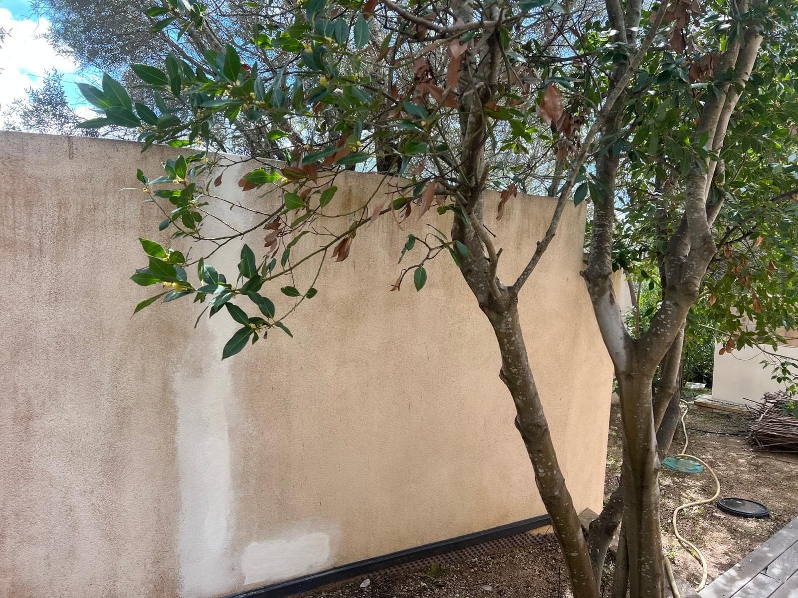 Mur de jardin taché avec essais de teinte